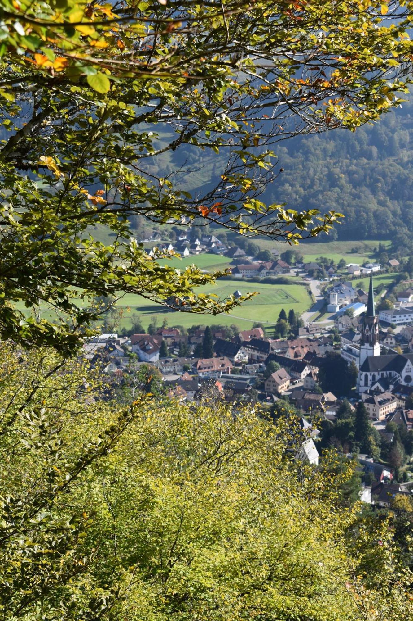 Gartenferienhaus "Annaluise" Schönau im Schwarzwald 외부 사진