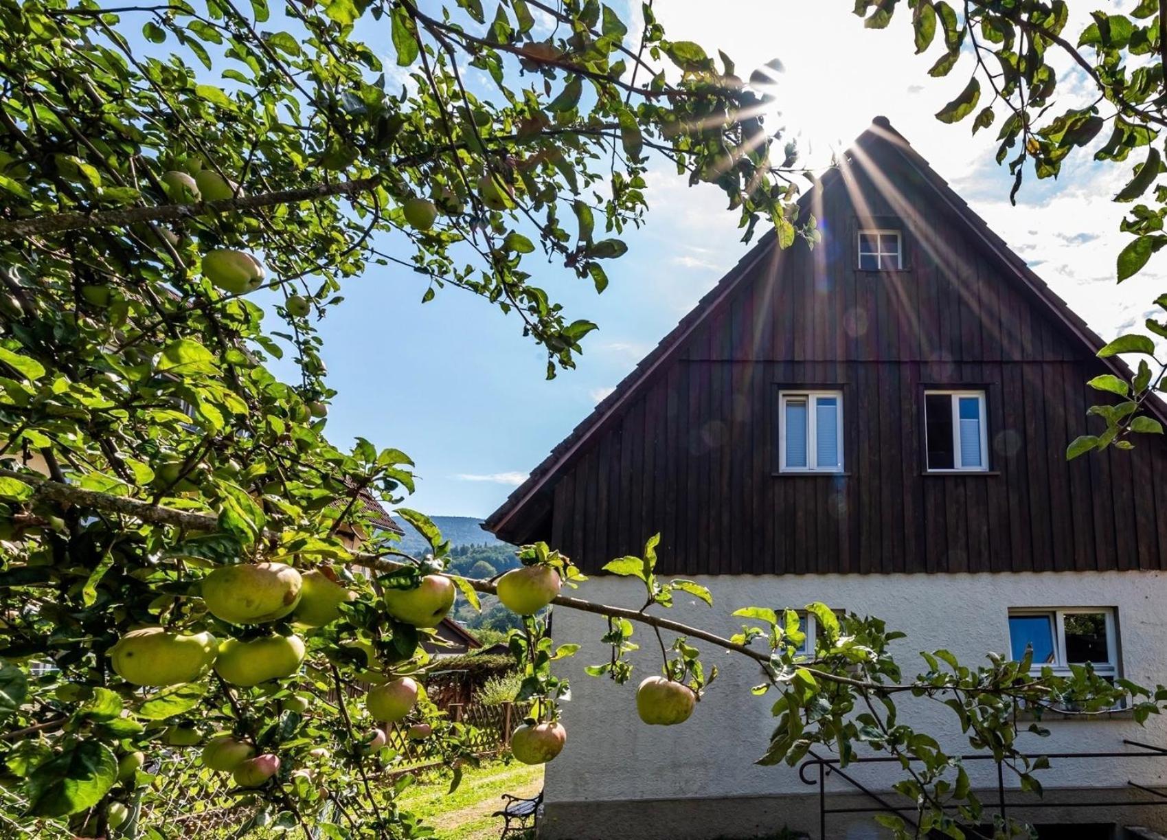 Gartenferienhaus "Annaluise" Schönau im Schwarzwald 외부 사진