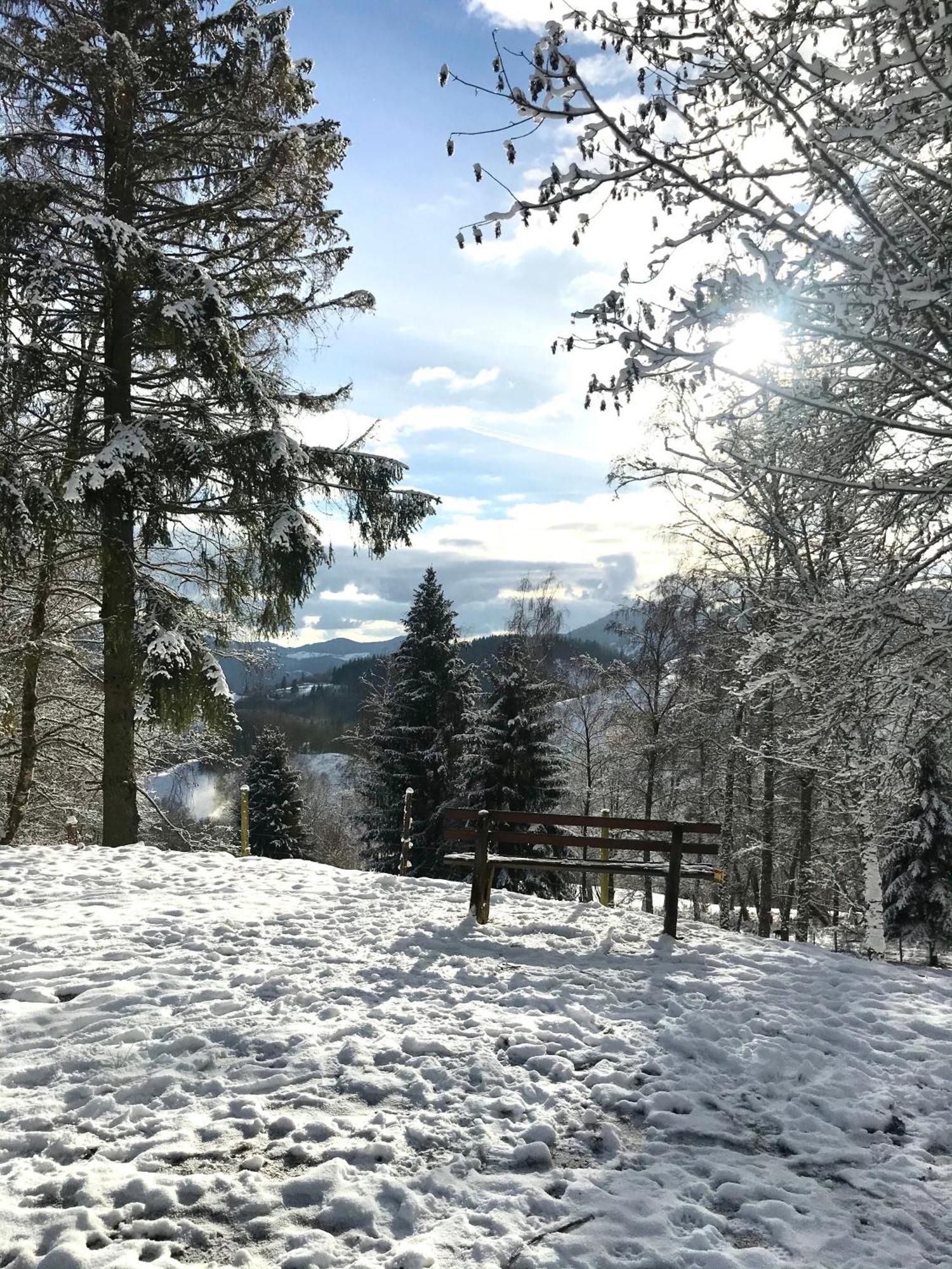 Gartenferienhaus "Annaluise" Schönau im Schwarzwald 외부 사진
