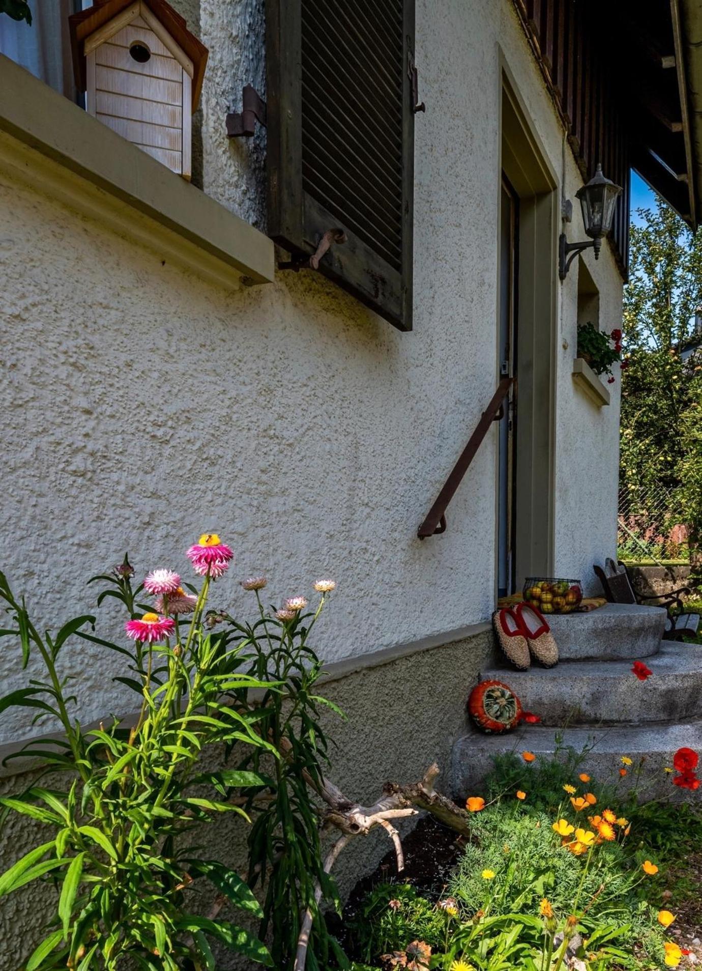 Gartenferienhaus "Annaluise" Schönau im Schwarzwald 외부 사진